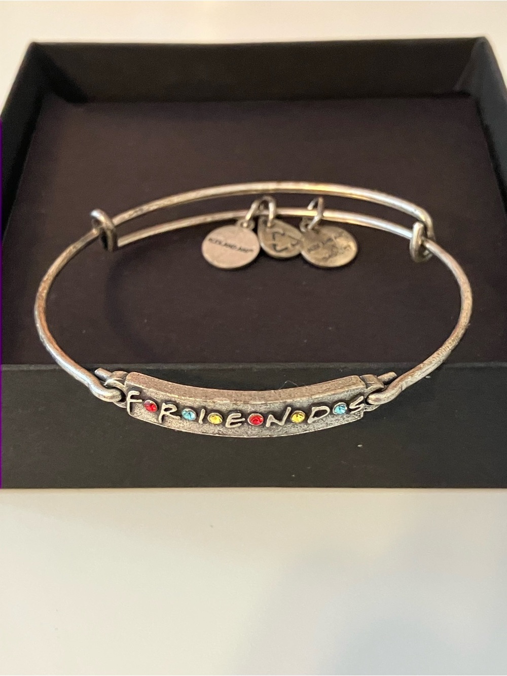 Alex and Ani FRIENDS Logo Bar Bangle Bracelet + Original Box